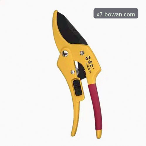 博万体育平台登录操作教程 · 从注册到投注的完整指南